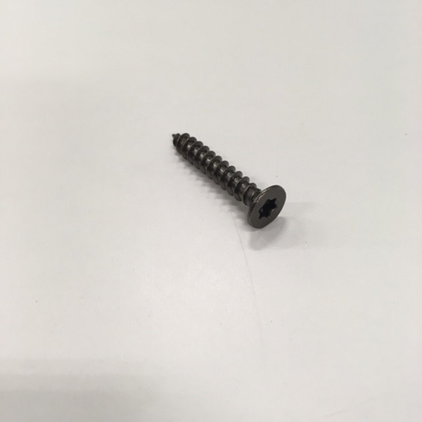 SCREW TORX 304SS FIXING PANEL