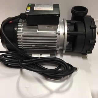 Hydromassage Pump 2200W - 3Hp 2Speed (Wp300-Ii)